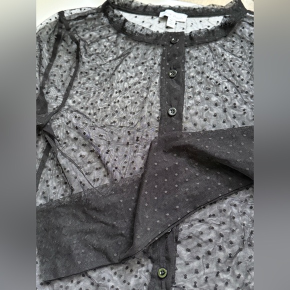 Sheer Buttoned Top - Picture 3 of 8